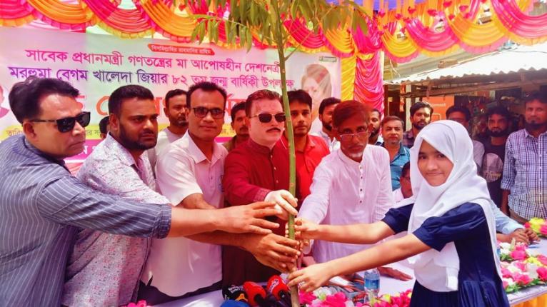 জিয়ানগরে খালেদা জিয়ার জন্মবার্ষিকীতে বৃক্ষরোপণ ও চারা বিতরণ