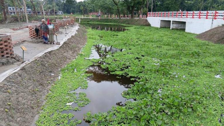 পুনঃখননে প্রাণ ফিরেছে গৌরনদীর বাটাজোড়-সরিকল খালে, কৃষি-সেচে মিলছে সুফল