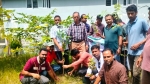 নলছিটিতে স্বেচ্ছাসেবক দলের প্রতিষ্ঠাবার্ষিকীতে বৃক্ষরোপণ অভিযান