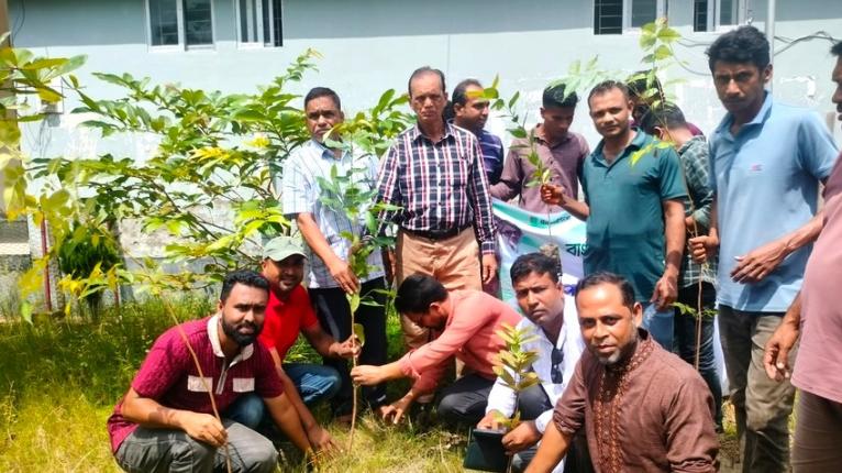 নলছিটিতে স্বেচ্ছাসেবক দলের প্রতিষ্ঠাবার্ষিকীতে বৃক্ষরোপণ অভিযান