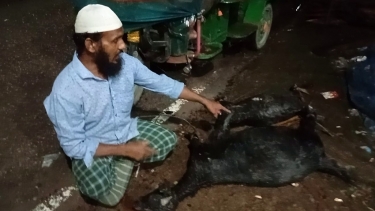 চারটি সুপারি চারা খাওয়ার অভিযোগে ছাগলের পা বেঁধে খালে ফেলে হত্যা