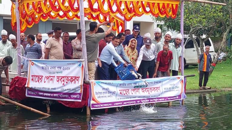 নানা আয়োজনে ঝালকাঠিতে জাতীয় মৎস্য পক্ষ উদযাপন