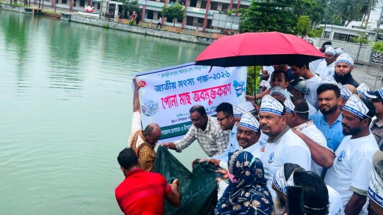 কাউখালীতে জাতীয় মৎস্য পক্ষ উপলক্ষে র‌্যালি ও আলোচনা সভা