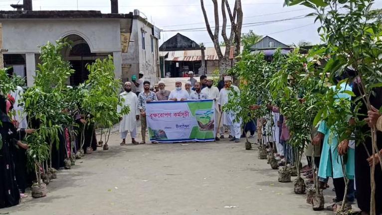 সবুজ ক্যাম্পাস গড়তে তালতলীতে শিক্ষার্থীদের মাঝে গাছের চারা বিতরণ