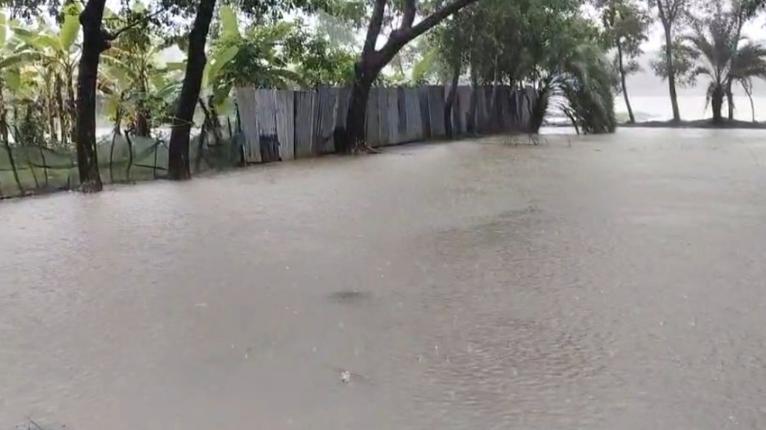 কলাপাড়ায় টানা অতিবৃষ্টিতে জনজীবনে দুর্ভোগ, কৃষক দুশ্চিন্তায়