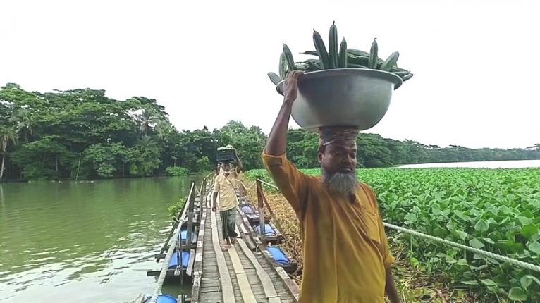 কলাপাড়ার পাখিমারা খালে স্থায়ী সেতুর অভাবে কৃষিপণ্য পরিবহনে সংকট