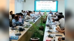 বরগুনায় আইনশৃঙ্খলা কমিটির সভা, পুলিশি টহল জোরদারের সিদ্ধান্ত