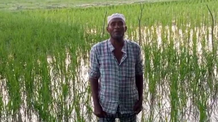 গলাচিপায় বিরোধীয় জমির সালিশেও মেলেনি সমাধান