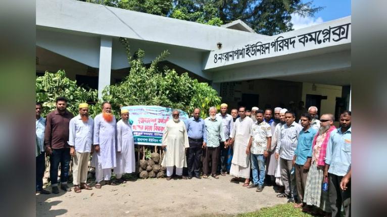 নলছিটিতে ৩৫ শিক্ষাপ্রতিষ্ঠানে ১ হাজার ৪০টি গাছের চারা বিতরণ