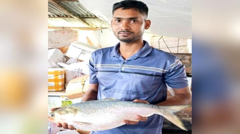 পাথরঘাটায় এক ইলিশ বিক্রি হলো ১৫ হাজার ৯৩০ টাকায়