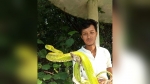 তালতলীতে বিরল বিষধর দাগী লেজা সবুজ বোড়া সাপ উদ্ধার