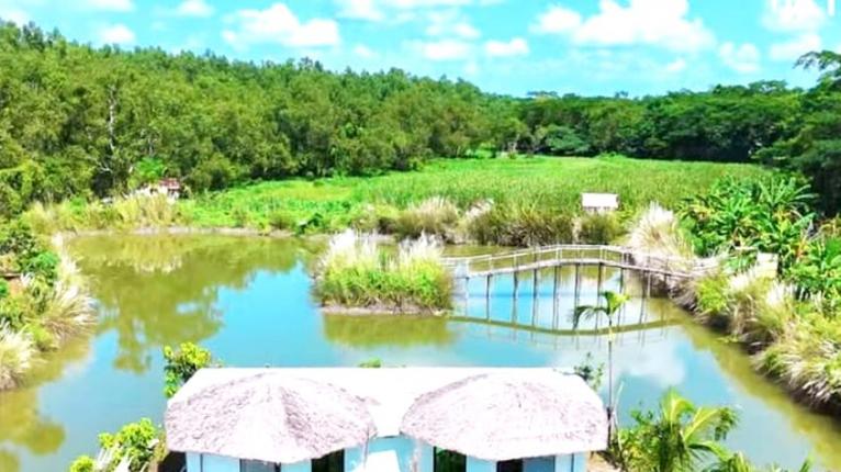 বরগুনায় বিষখালীর তীরে সবুজের ছায়ায় গড়ে উঠেছে সুরঞ্জনা ট্যুরিজম ইকোপার্ক
