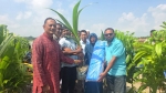 রাঙ্গাবালীতে সাড়ে চার হাজার গাছের চারা বিতরণ