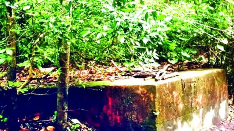 ঝালকাঠির কীর্তিপাশায় টিকে থাকা সতীদাহের বেদি। ছবি- সংগৃহীত