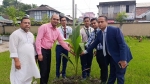 তালতলীতে পূবালী ব্যাংকের উদ্যোগে ১,২৩০ গাছ রোপণের কর্মসূচি