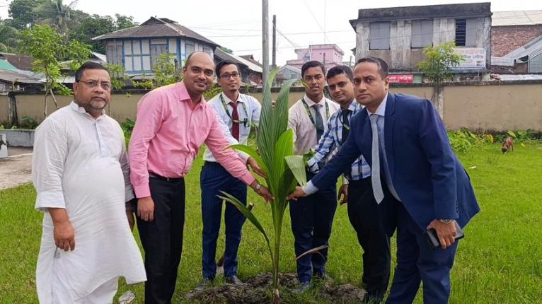 তালতলীতে পূবালী ব্যাংকের উদ্যোগে ১,২৩০ গাছ রোপণের কর্মসূচি