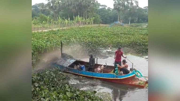 আমতলীতে চাওড়া নদীর কচুরীপানা অপসারণে অনিয়মের অভিযোগ