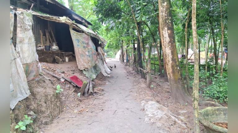 বাউফলে মাটির বদলে বালু দিয়ে সড়ক নির্মাণের অভিযোগ