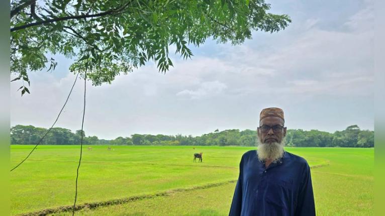 ছেলে আওয়ামী লীগ নেতা, তাই চাষাবাদে বাধা; দুই বছর অনাবাদি প্রায় ৬ একর জমি