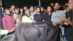 গলাচিপায় মহিষ চুরির ঘটনায় সাংবাদিকসহ ৫ জন আটক