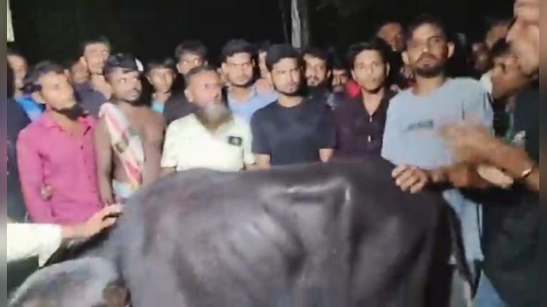 গলাচিপায় মহিষ চুরির ঘটনায় সাংবাদিকসহ ৫ জন আটক
