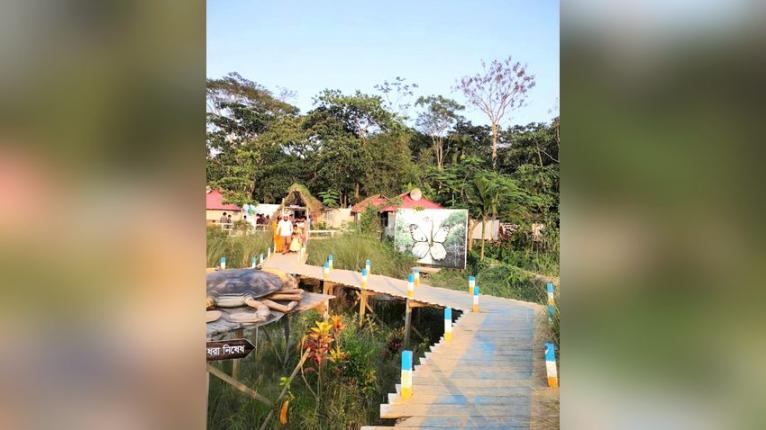 বরগুনায় বিষখালীর তীরে সবুজের ছায়ায় গড়ে উঠেছে সুরঞ্জনা ট্যুরিজম ইকোপার্ক