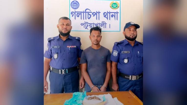 গলাচিপায় ১০০ গ্রাম গাঁজাসহ যুবক গ্রেপ্তার