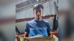 মনপুরায় আড়াই কেজির রাজা ইলিশ বিক্রি ১৫ হাজার টাকায়