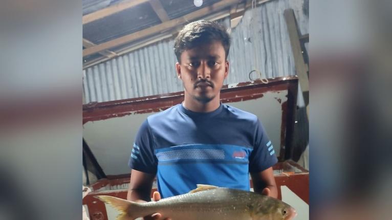 মনপুরায় আড়াই কেজি ওজনের এক ইলিশ ১৫ হাজার টাকায় বিক্রি
