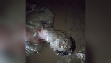 মনপুরায় মেঘনাপাড়ে বাঁধা অবস্থায় যুবক উদ্ধার, মুমূর্ষ অবস্থায় ঢাকায় প্রেরণ