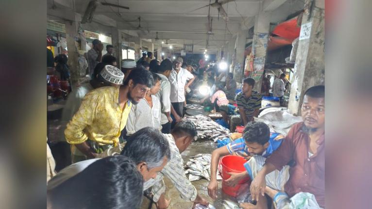 নেছারাবাদে মাইকিং করে জাটকা বিক্রি, ছিল না প্রশাসনের নজরদারি