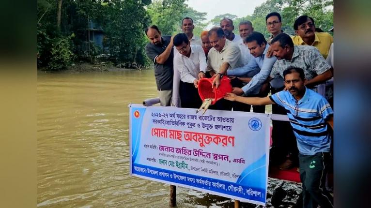 গৌরনদীতে উন্মুক্ত জলাশয়ে মাছের পোনা অবমুক্ত